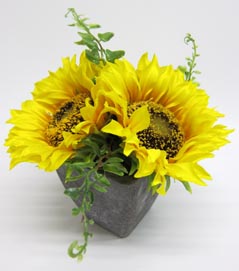 Sonnenblumen-Deko im Topf